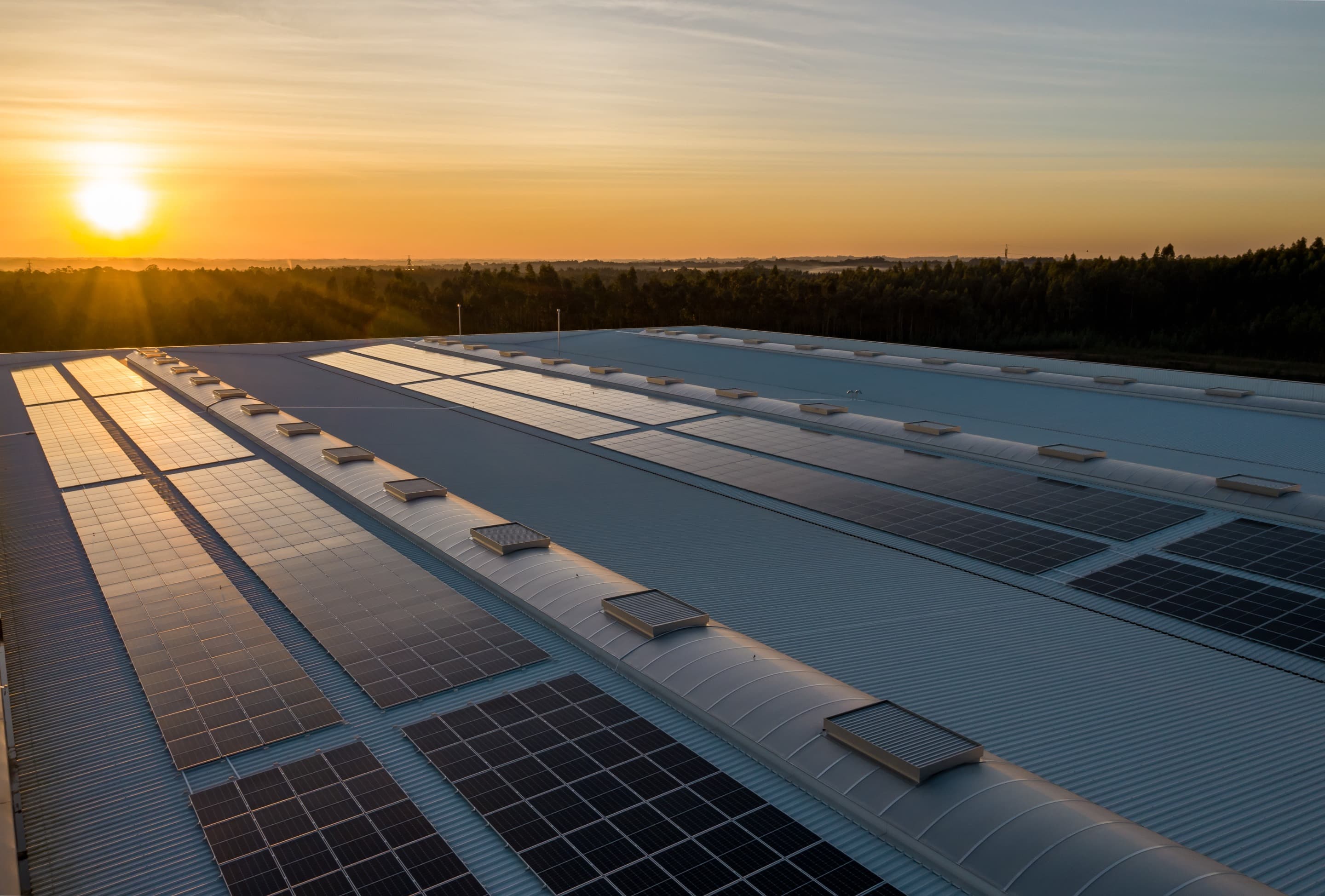 Solar panels on a large rooftop at sunset, with a forest in the background.